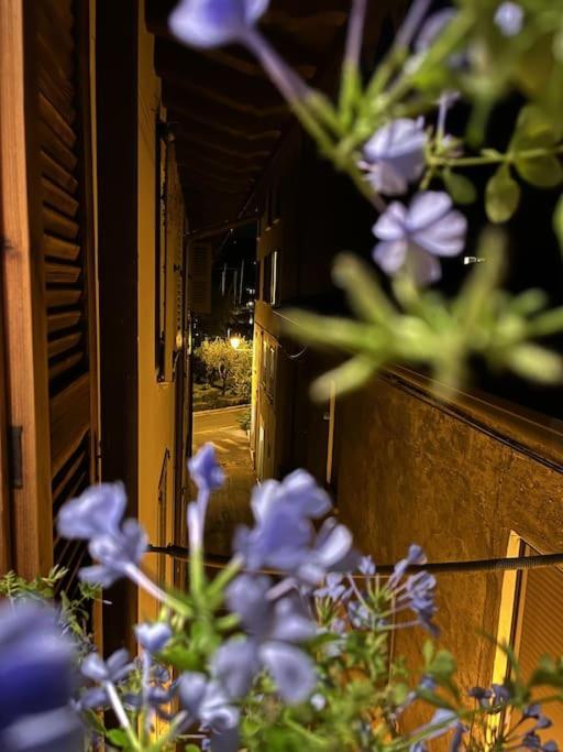 La Piccola Casa Al Lago - Intera Casa Con 3 Camere E 2 Box Salò Buitenkant foto