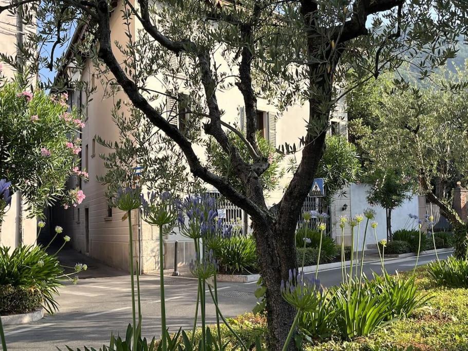 La Piccola Casa Al Lago - Intera Casa Con 3 Camere E 2 Box Salò Buitenkant foto
